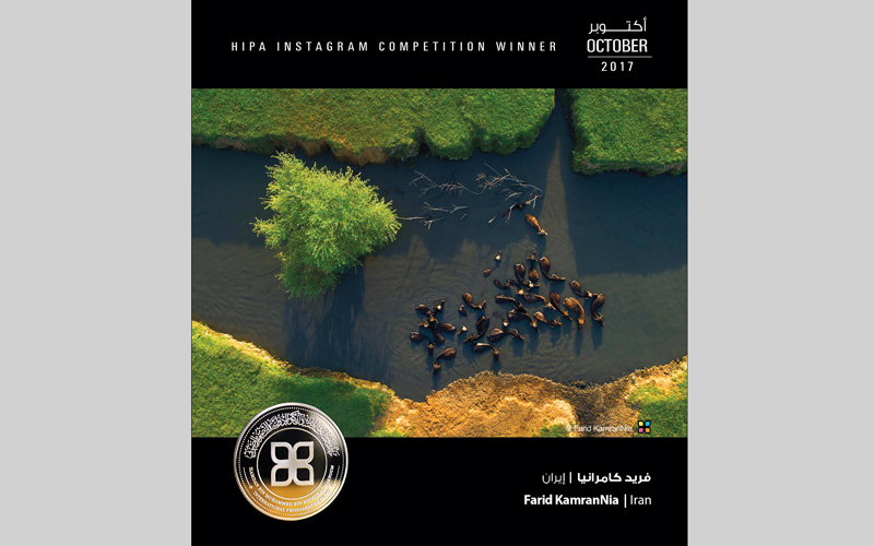 العدسة الإماراتية تتألق «جوياً» في «جائزة حمدان للتصوير»