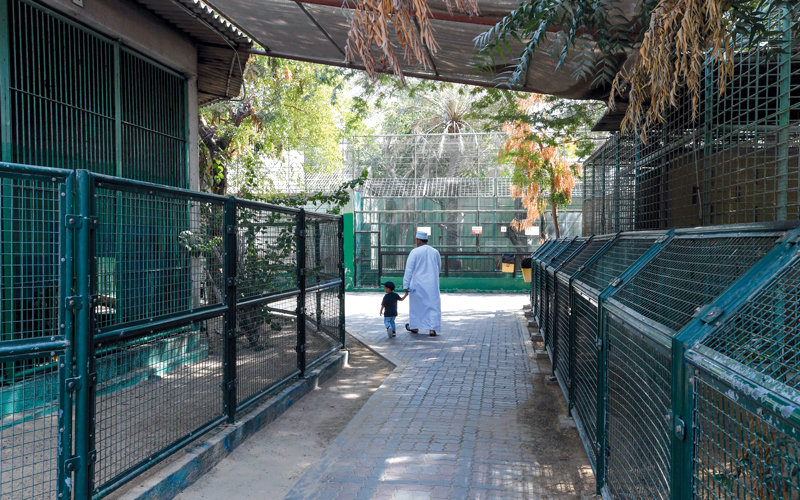 حديقة حيوان دبي إلى التقاعد  بعد 50 عاماً من الخدمة