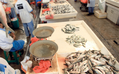 حملات لإلزام بائعي السمك باستخدام الموازين الإلكترونية