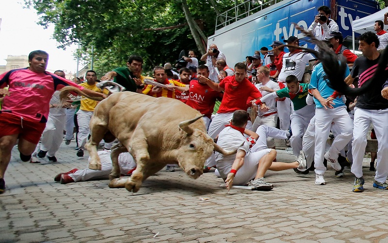 تنظم مدينة بامبلونا الإسبانية سنويا، مهرجان سان فيرمن لعدو الثيران، حيث تطارد الثيران عبر شوارع المدينة الضيقة، مئات الأشخاص، بينهم عدد كبير من السائحين. الصور من الوكالات