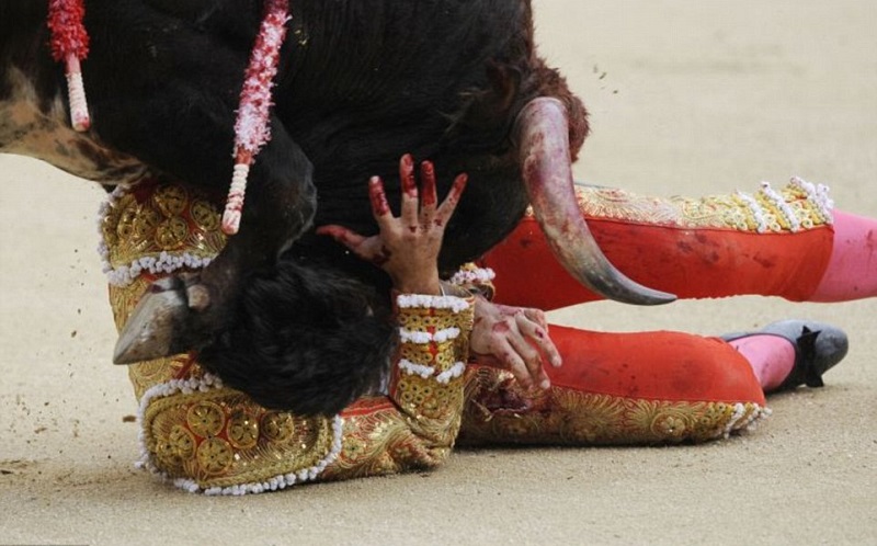 لقطات مثيرة  لعبة صراع الثيران  في اسبانيا -وكالات