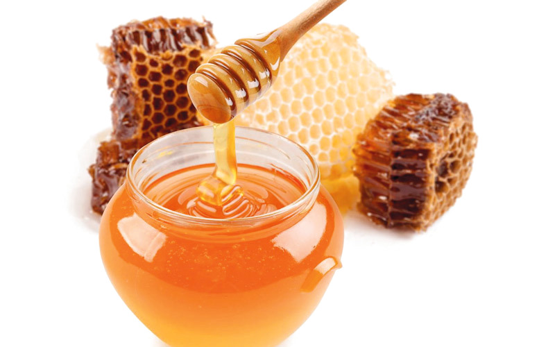 النحل - بدء تطبيق النظام الإماراتي للرقابة على عسل النحل Image