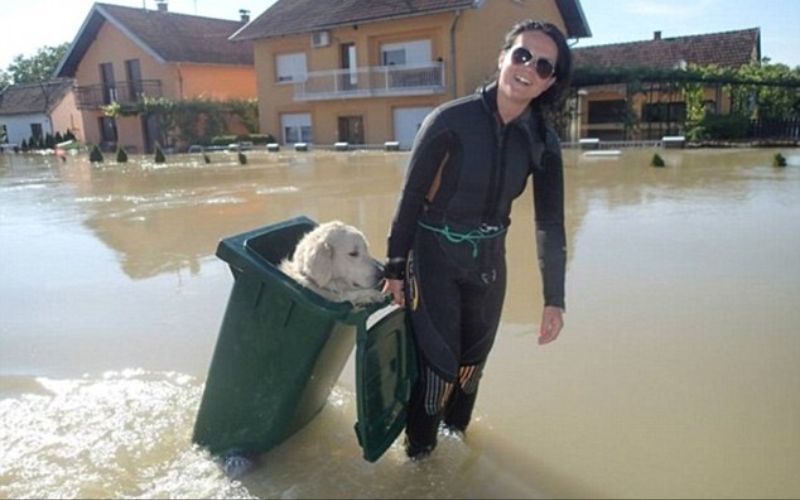 إمرأة تنقذ كلبا غرق أثناء حدوث أحد الفيضانات