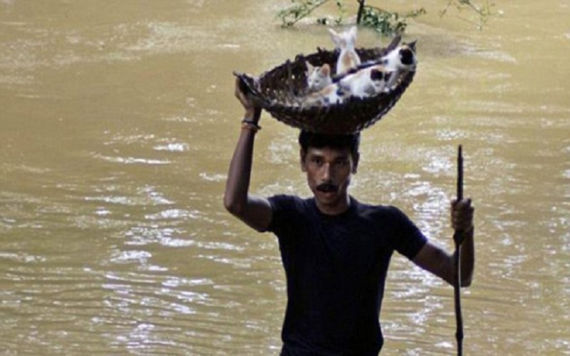 رجل يحمل سلة مليئة بصغار القطط فوق رأسه بعد إنقاذها من الغرق بأحد الفيضانات