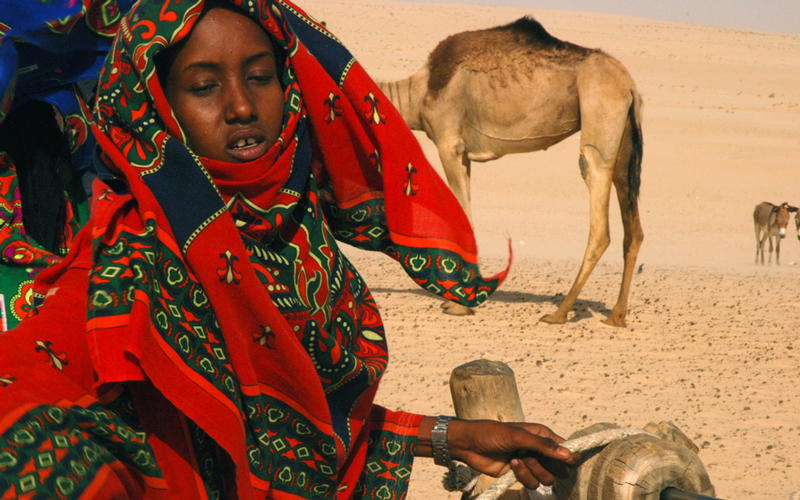 «نساء التمر»..البحث عن طعم المال والحرية في الصحراء الكبرى