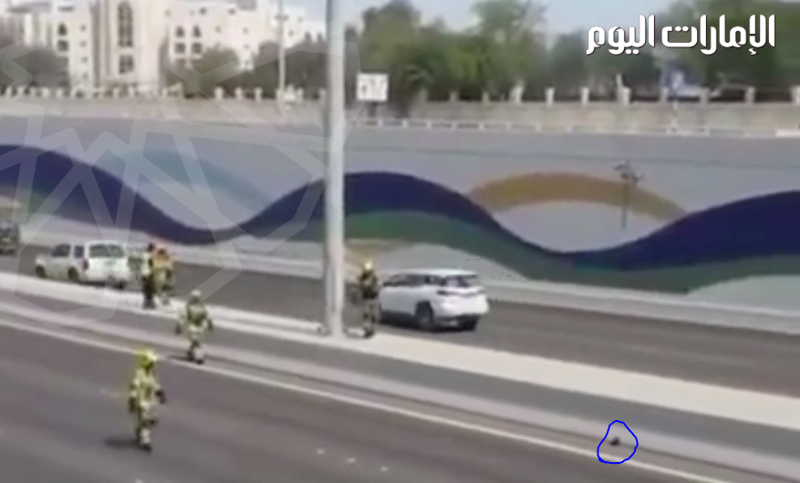 بالفيديو..شرطة أبوظبي تغلق طريقاً سريعاً لإنقاذ قطة صغيرة