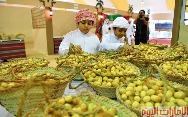 وتقام العديد من الورش الزراعية لتحسين جودة الإنتاج بالطرق العضوية والصديقة للبيئة بعيداً عن الأسمدة الكيماوية، والطرق المثلى لاستغلال مياه الري، كذلك كيفية الحصول على أفضل إنتاج للمزارع النموذجية.