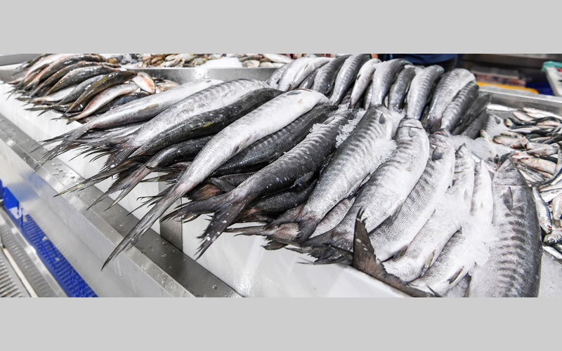 الصيد الجائر أدى إلى تقلص أعداد بعض الأسماك في الأسواق.