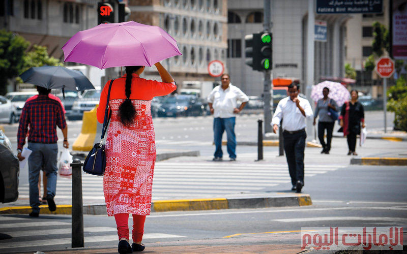 تصوير: أشوك فيرما، إريك أرازاس، نجيب محمد، أسامة أبوغانم، باتريك كاستيلو