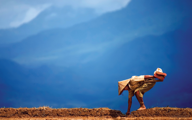 أمين هاري -إندنسيا