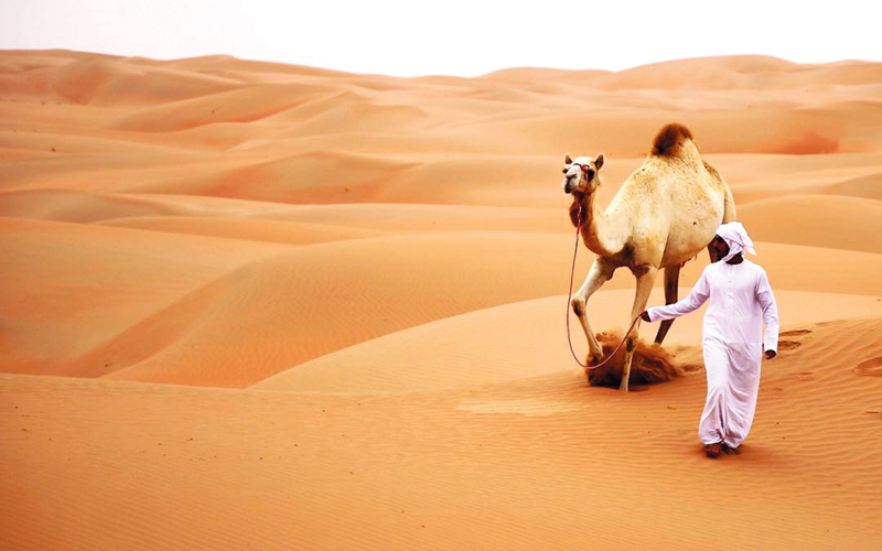 الصورة التي حازت المركز الرابع (2000 درهم). من المصدر