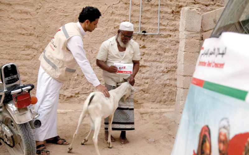 الحملة تستهدف دعم واسعاد أسر الشهداء والجرحى في اليمن مع حلول العيد. وام