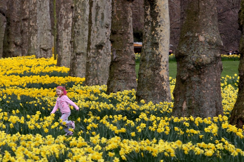 المصدر:غيتي