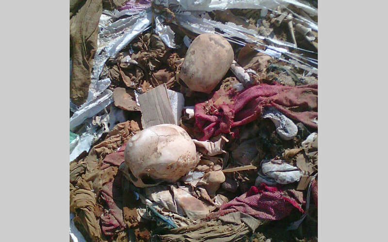 الجماجم التي تم العثور عليها في الشارع. الإمارات اليوم