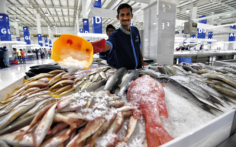 غياب دور المصانع الوطنية في استثمار الثروة السمكية تسبب في إهدارها بشكل كبير. تصوير: أشوك فيرما