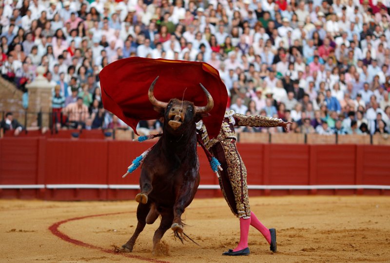 دخول دائرة الصراع -المصدر:ا.ف.ب