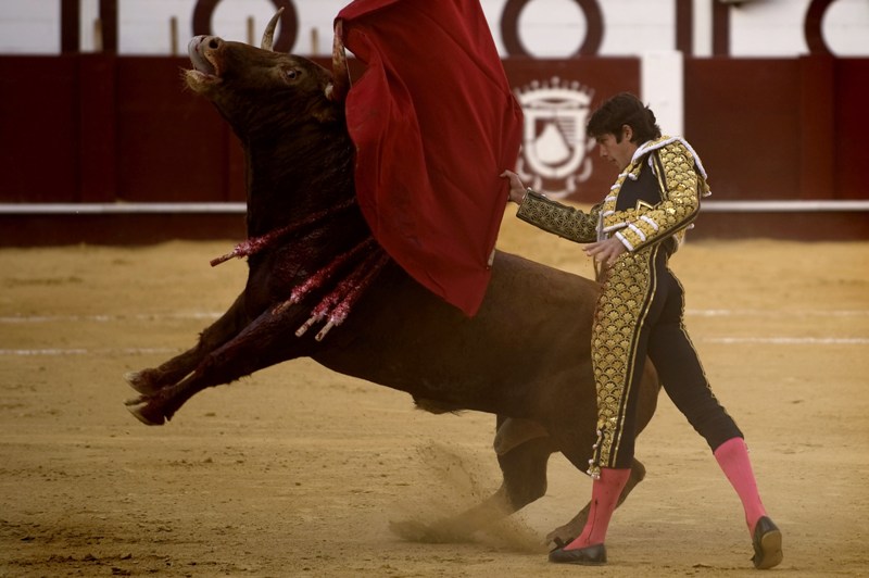 القوي يسيطر -المصدر:ا.ف.ب