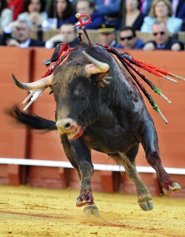 والضعيف يقاوم-المصدر:رويترز