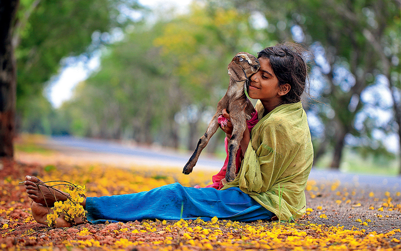 ديبيش بهات ــ الهند