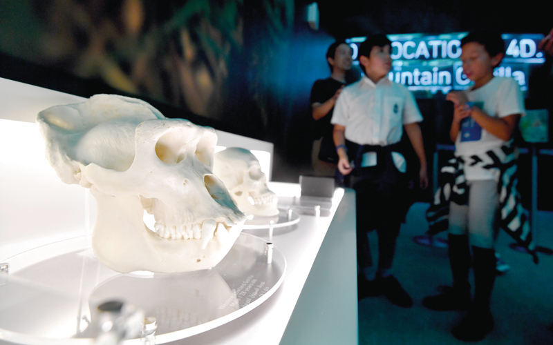 التجربة تعتمد على الشاشات التفاعلية عالية التقنية. تصوير: باتريك كاستيلو