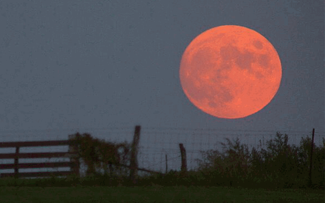 قمر الصيادين