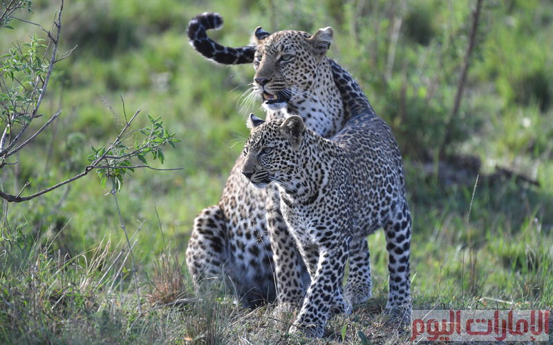 تصوير: إريك أرازاس أسامة أبوغانم مصطفى قاسمي