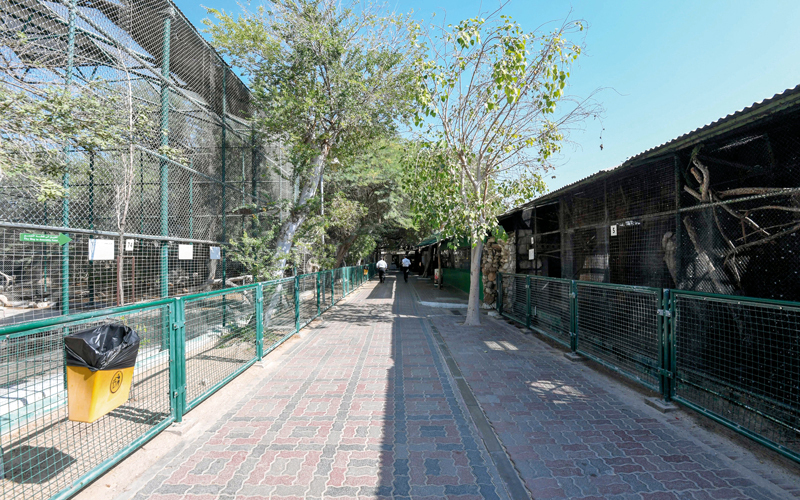 حديقة حيوان دبي أغلقت أبوابها يوم الأحد الماضي للمرة الأخيرة. الإمارات اليوم