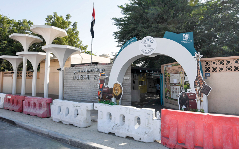 حيوانات الحديقة انتقلت بالكامل إلى «سفاري دبي» التي تفتح أبوابها للجمهور قريباً. الإمارات اليوم