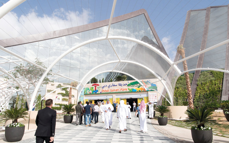 «سفاري دبي» تشكل الموقع الأكثر تنوّعاً للحيوانات في الدولة.

تصوير: أحمد عرديتي