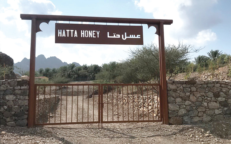 المهرجان يأتي في إطار خطة حتا التنموية الشاملة. من المصدر