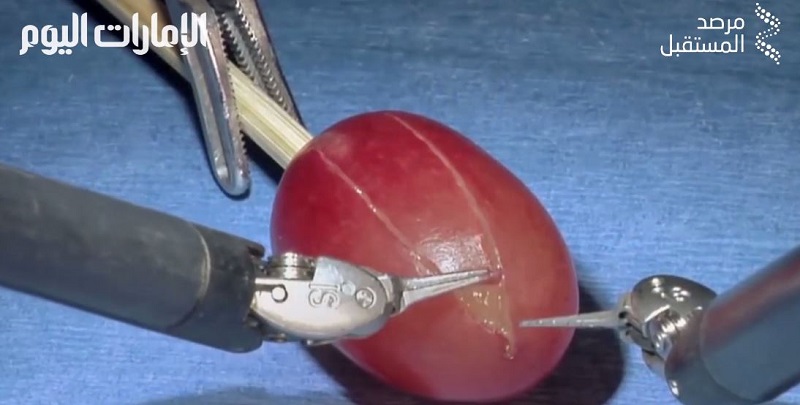 بالفيديو.. روبوت يجري عملية جراحية على حبة عنب