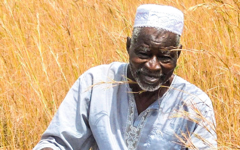 ياكوبا ساوادوقو (80 عاماً) «قاهر الصحراء» ابتكر تقنية مبدعة تسمى «الزاي» لتحويل أراضي بلاده إلى جنة خضراء. الإمارات اليوم