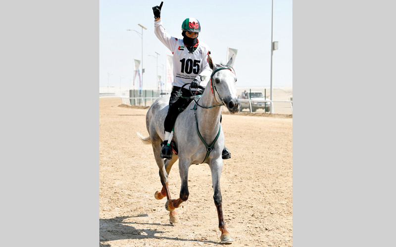 الفارس راشد الجنيبي. تصوير: نجيب محمد