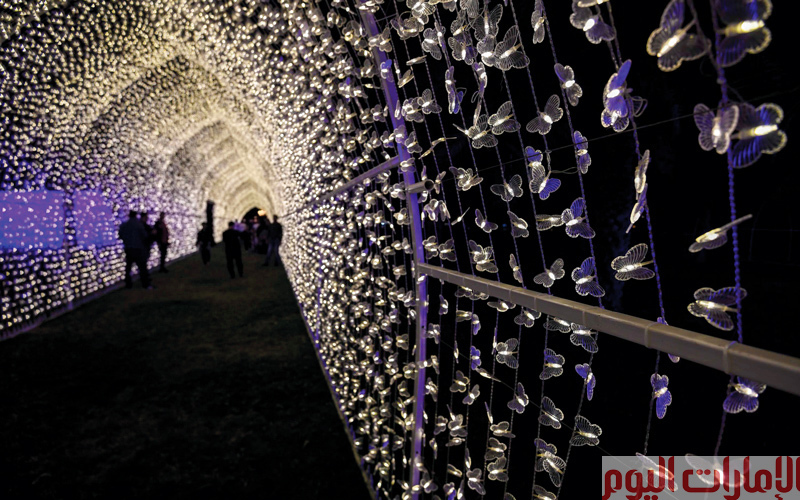 ويُشكّل المهرجان، الذي تتوزع عروضه على مدن الإمارة، دعوة لتشجيع الحوار بين الثقافات، خصوصاً أنه يستضيف فنانين عالميين من مختلف دول العالم، حيث يستضيف هذا العام 24 فناناً من 10 دول مختلفة لتقديم أجمل العروض الضوئية، بإشراف المخرج الفرنسي ماتيو فيلكس.