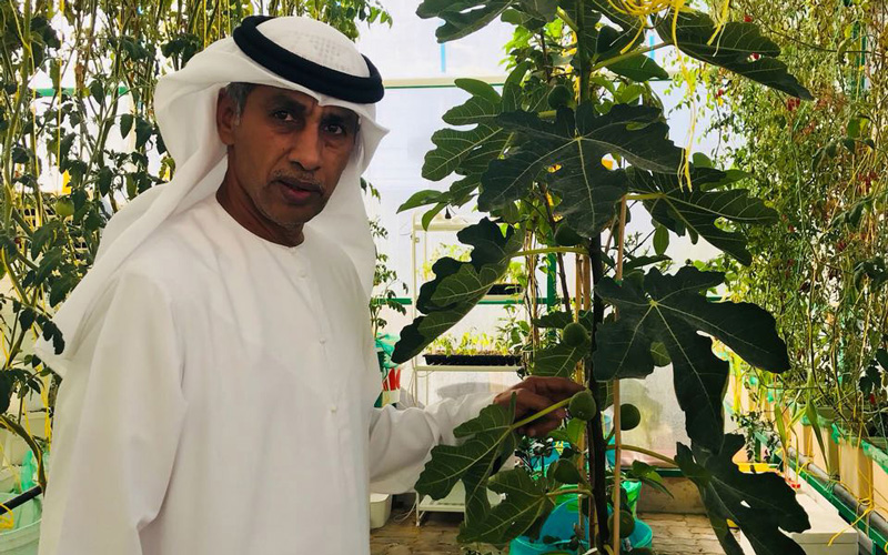 الشامسي: الابتكار يتيح زراعة الشتلات والأشجار في أي وقت دون انتظار موسمها الأصلي. الإمارات اليوم