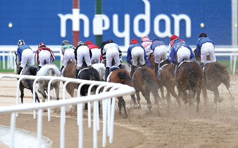 نخبة الخيول بالعالم تتسابق سنوياً في «ميدان». تصوير: باتريك كاستيلو