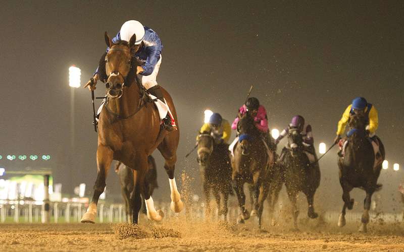 &laquo;ثندر سنو&raquo; أبهر العالم وأهدى الإمارات اللقب الـ11 في كأس دبي العالمي. من المصدر