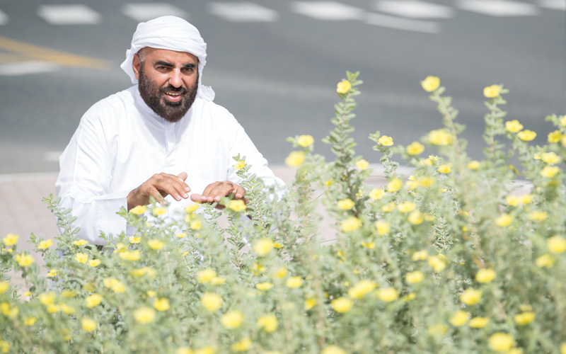 الزعابي يسعى إلى نشر ثقافة المحافظة على البيئة الإماراتية الغنية بأشجارها ونباتاتها وزهورها المتفردة.

تصوير: أحمد عرديتي