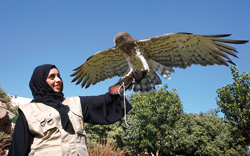 جواهر تحدّت الطيور التي لم تتقبّل وجودها كأنثى.
الإمارات اليوم