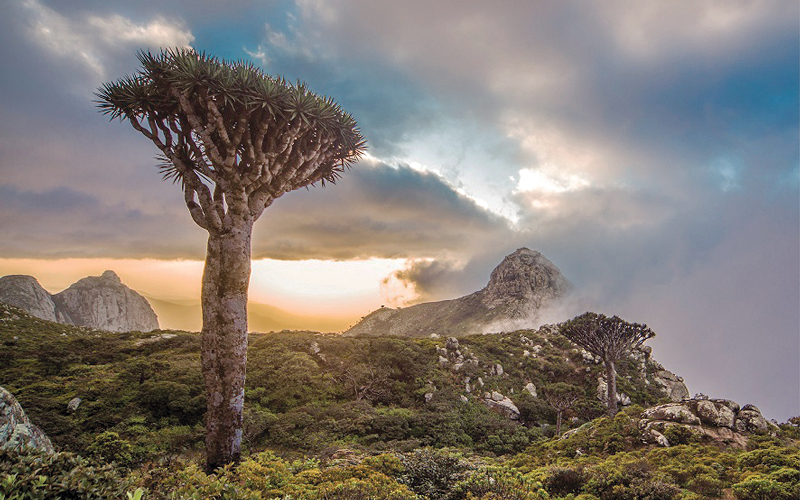 زرياب الغابري - اليمن

من المصدر