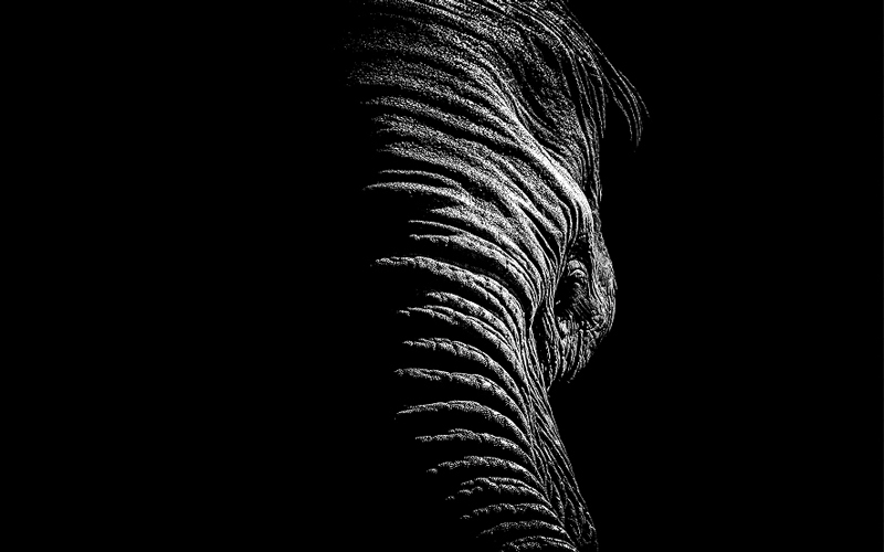 محمد مراد - الكويت

من المصدر