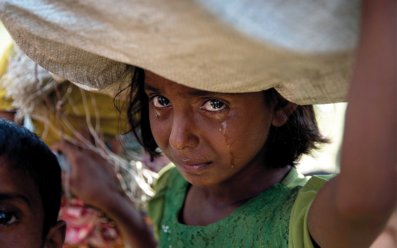 بولا برونستين - الولايات المتحدة

من المصدر