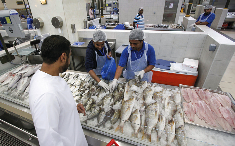 من الأسباب الرئيسة التي تؤدي إلى فساد السمك عدم وضعه في الثلج مباشرة بعد صيده.

تصوير: أشوك فيرما
