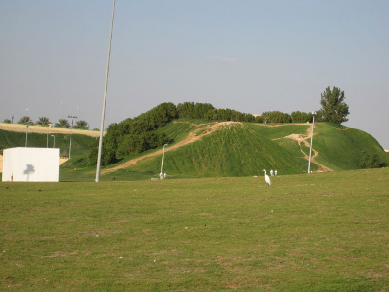 مساحات خضراء شاسعة في المبزرة  بمدينة العين. تصوير سماح حميد