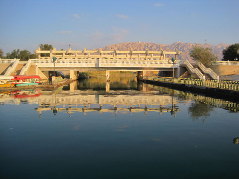 تصوير سماح حميد