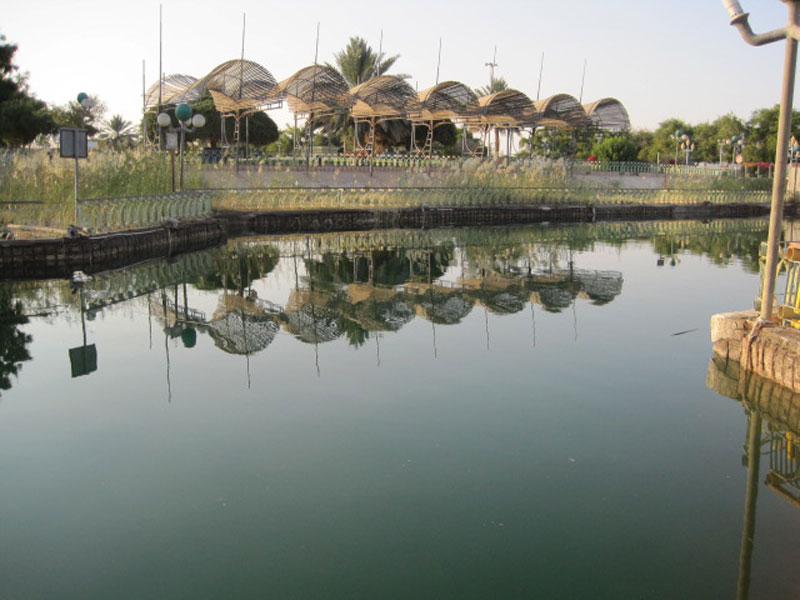 تصوير سماح حميد