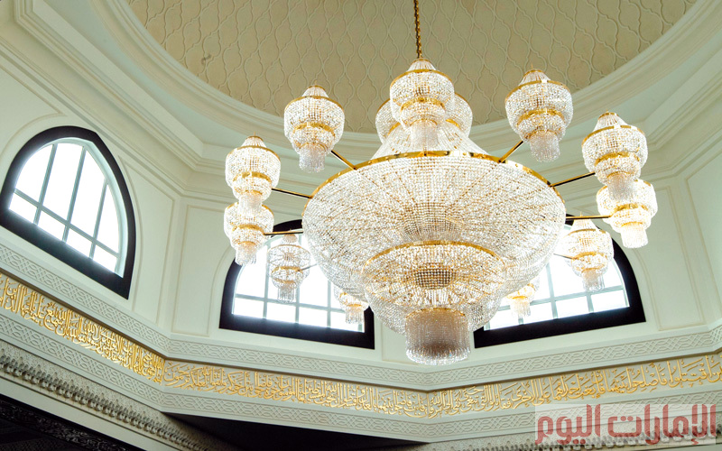 تصوير: أحمد عرديتي