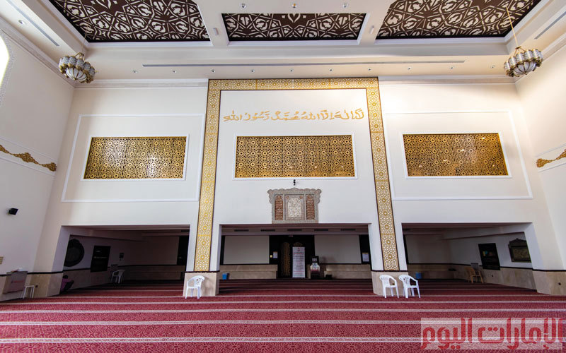 تصوير: أحمد عرديتي