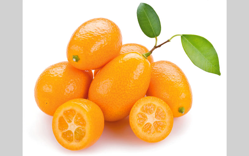 ثمار البرتقال الذهبي.  أرشيفية