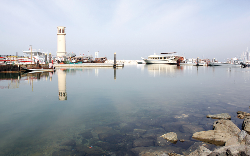صيادون ناشدوا الجهات المعنية حماية البيئة البحرية من المخلفات والنفايات.

من المصدر